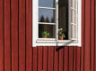 Vitt allmogefönster på röd stuga